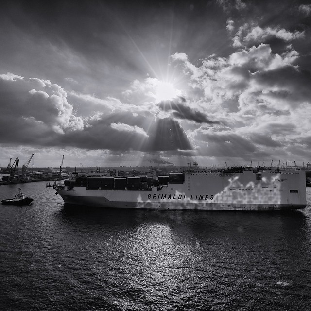 die Elbphilharmonie spiegelt sich auf der Bordwand eines Schiffes
