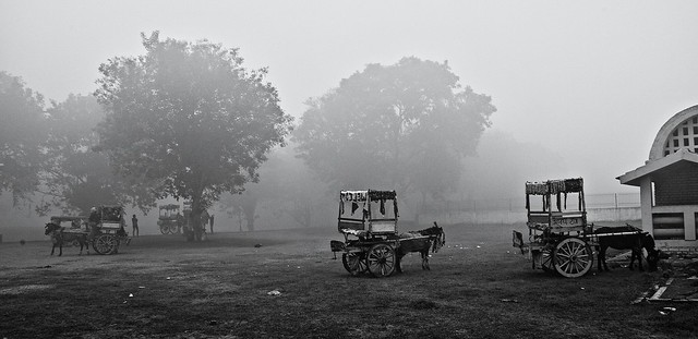 Indian countryside on a misty morning