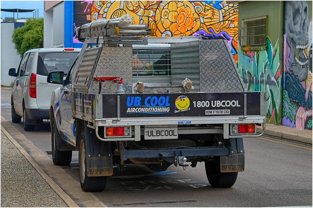 Darwin numberplate collection - ULBCOOL