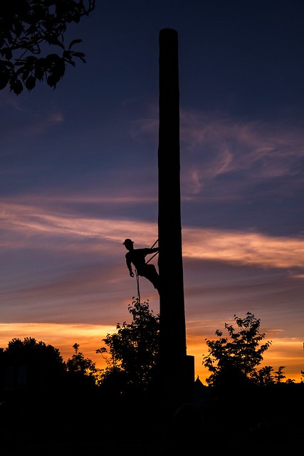Climbing a Pole to Watch the Sunset