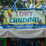 Photo of Lory Landing