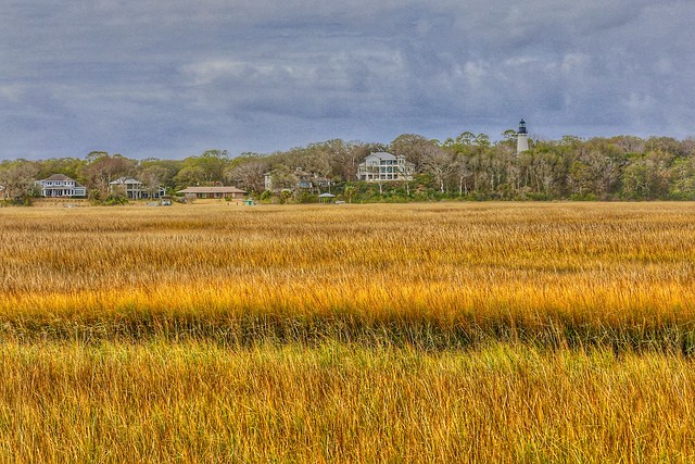 Marsh Landscape. Fernandina beach, Florida