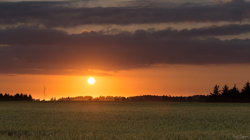 summer landscape sunset bright saltum denmark sky nordjylland field warm silhouette light northdenmarkregion dk