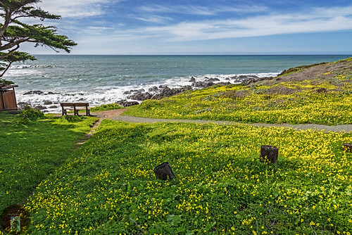 California Central Coast | by randyandy101