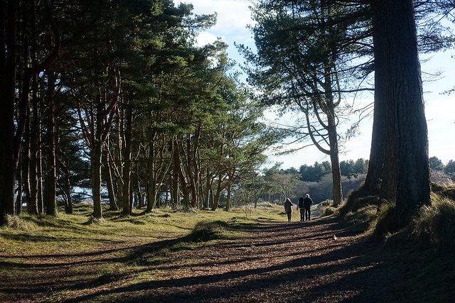 Woodland Walk