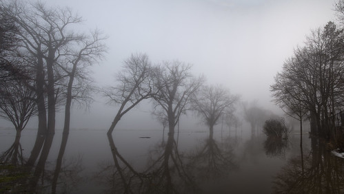 schenectady stockade flood mist morning fog water river