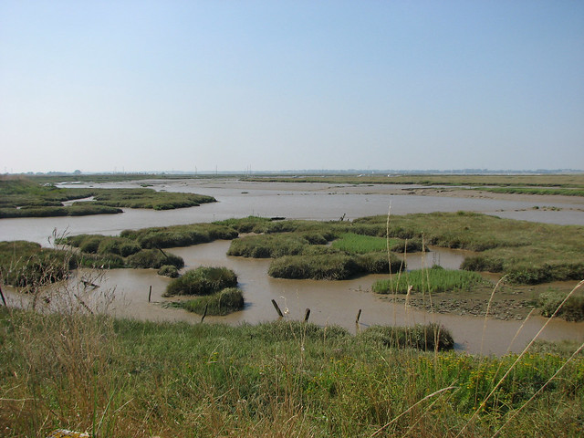 Hamford Water National Nature Reserve, Walton-on-the-Naze