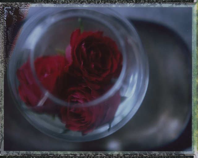 Nature morte avec des roses  (still life with roses)