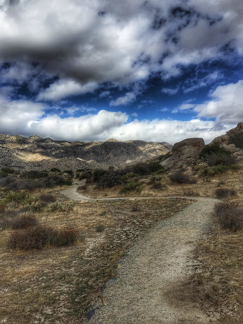 Culp Valley Trail