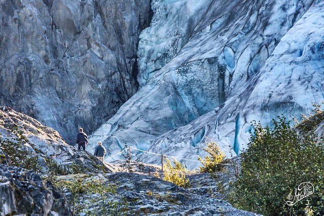 Hiking to Exit Glacier on the Kenai Peninsula in Alaska