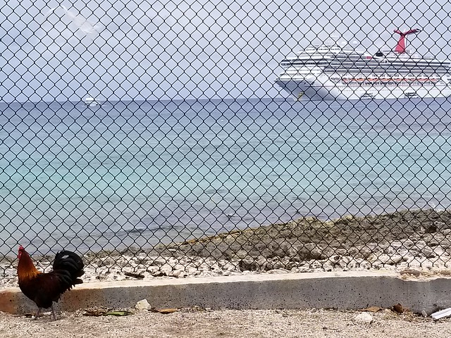 Caribbean Cruise 2018