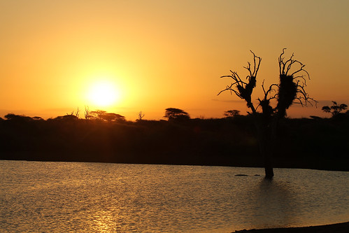 lowersabie southafrica sunsetdam krugernationalpark ngc safari sunset landscape dam lake nest weaverbirdnest