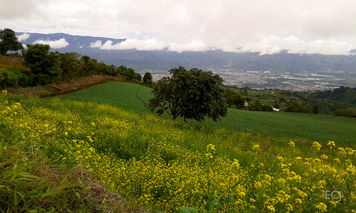 rural naturaleza valle montaña colina nubes vegetación caminata bosque agricultura amarillo