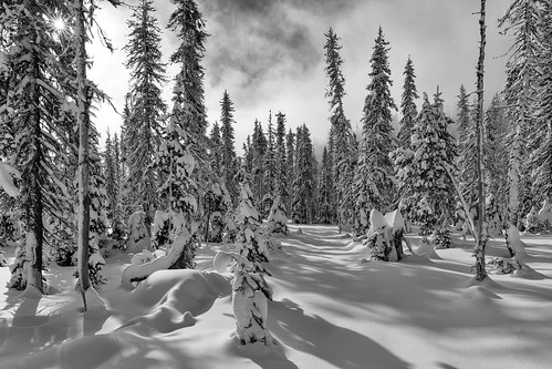canon5dmarkii canoneos5dmarkii canonef2470mmf28liiusm portland oregon or usa mounthood mounthoodnationalforest national forest snowshoe snow mountain winter white wilderness nature landscape cold whiteriver river glade bw blankandwhite