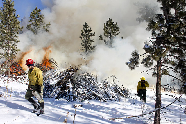Pile Burning on Northern Hills