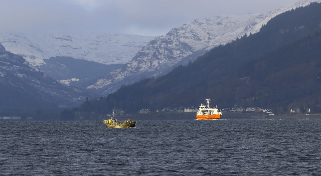 Crabbing the mouth of the Holy loch .