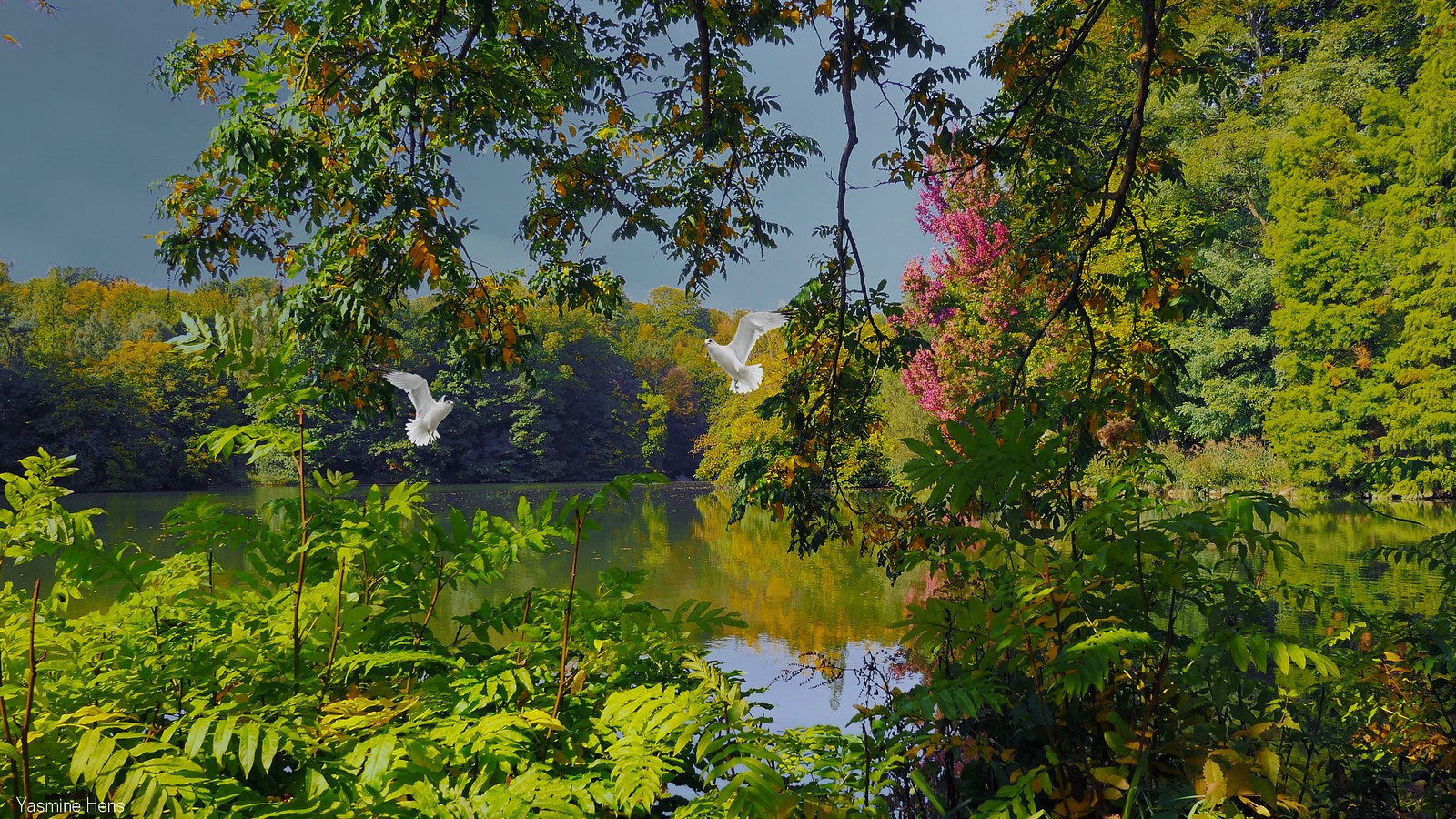 Nature | Flickr