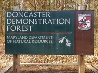 Entrance sign for Doncaster Demonstration Forest