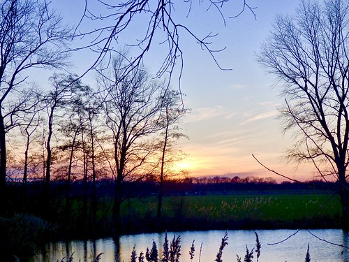 sunset evening wiel trees elshoutsewielen drunen nature reed