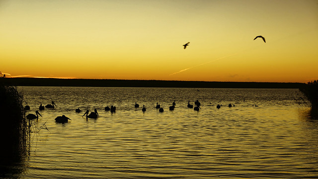 Sunset on Lake Alexandrina, SA