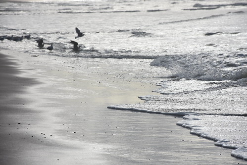 Strand Beach