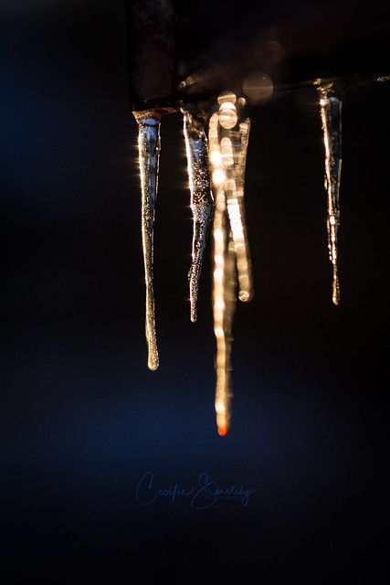 Glowing icicles