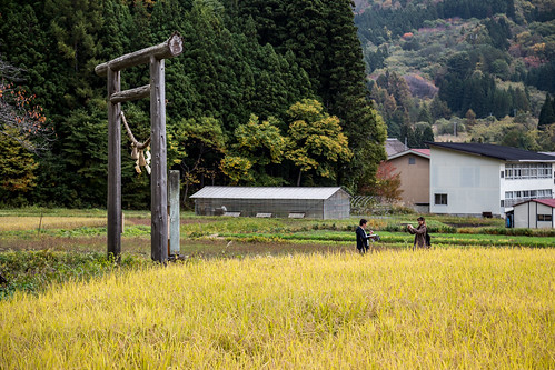 photo autumn landscape nature people canon town plantation post eos rice torii scenery ef24105mm temple shrine picture fukushima ouchijuku japan old minamiaizugun fukushimaken jp