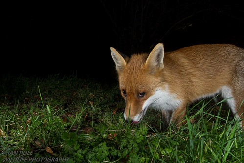 Confidently Close. | by ian hull