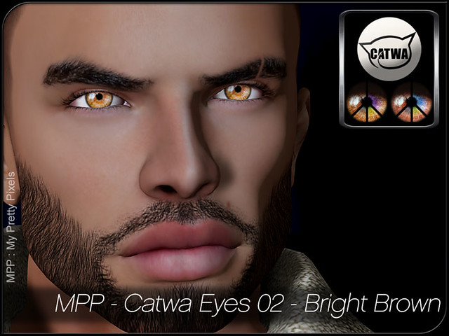 MPP-Display-CatwaEyes02-BrightColors-Brown