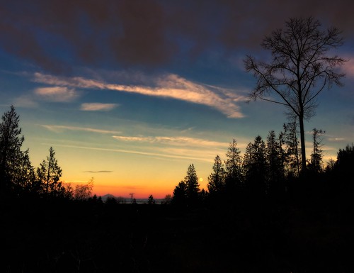 newyearsmoon moon sky clouds silhouette tree solitude trees skyscape cloudscape nature landscape sequim olympicpeninsula washingtonstate pacificnorthwest topazstudio netartii