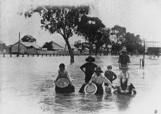 1906. Group of boys riding the flood waters on liquor barrels during the 1906 floods at Jericho Queensland.