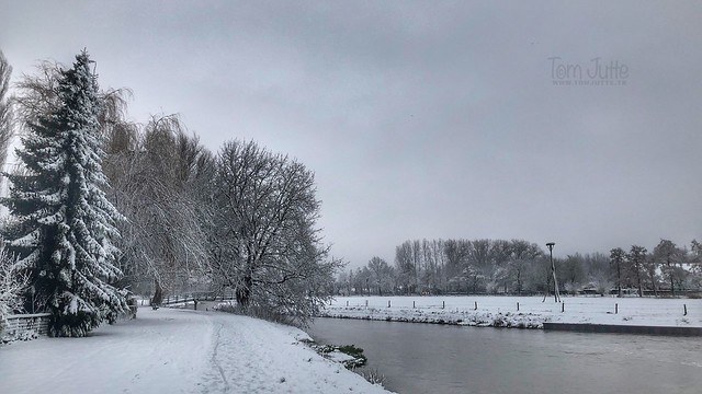Winter river, Odijk, Netherlands - 0444