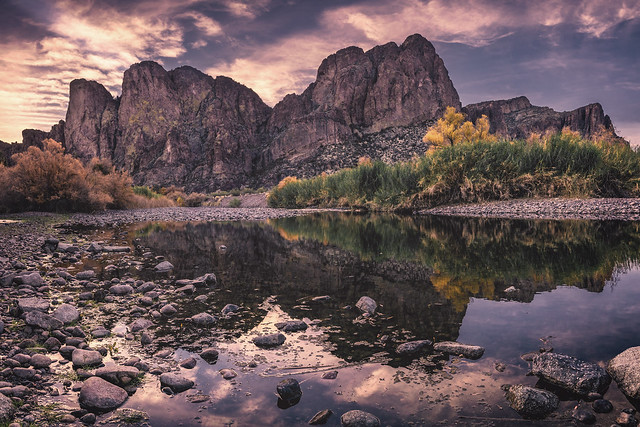 Morning at the Salt River | AZ