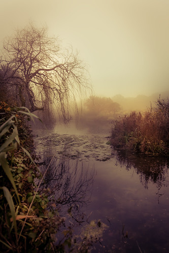 phylliscurrienaturereserve greatleighs arniesacknooson eos5d nature essex pond autumn mist fog