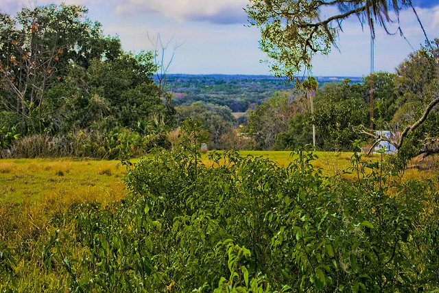 View from the summit of Chinsegut Hill (269 feet), Hernando County, Florida, USA
