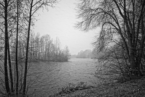 see lake snow winter schnee schwarzweiss bw blackandwhite landscape landschaft ngc npc