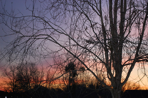lumberton nc northcarolina robesoncounty outside outdoors sky clouds sunrise daybreak morning goodmorning cloud morningsky tree trees nature natural landscape photooftheday project365 photo365