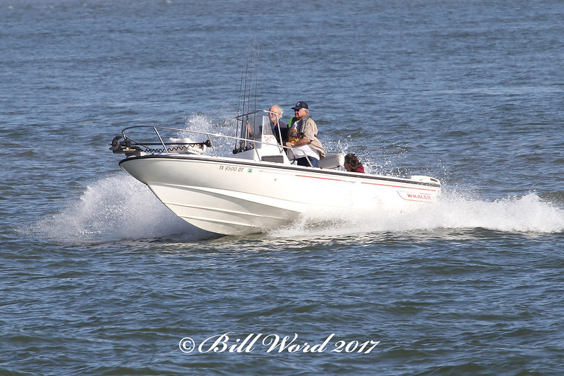 Boston Whaler 170 Montauk TX9500DT b