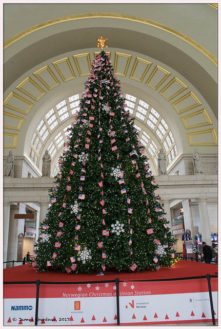 Each year the people of Norway give a gift of a Christmas Tree to the people of Washington, DC which is displayed in Union Station.