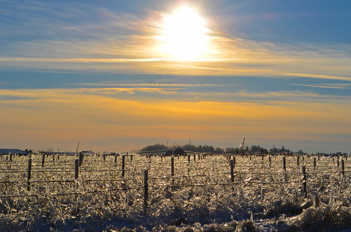 bc abbotsford sun sunset ice field clouds snow