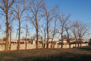 Row of trees along a fenceline at the edge of a municipal park in Evansville during a sunset in the winter.