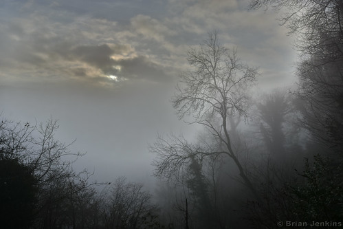 llandogo monmouthshire wales uk countryside nikon d7200 sunrise tree mist sun