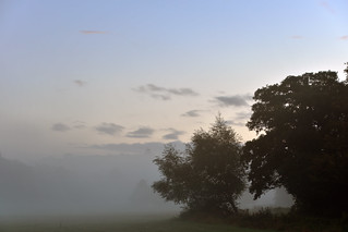 Misty Blue  -  (Selected by GETTY IMAGES)