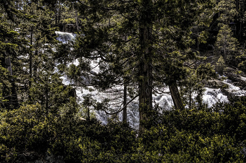 glenalpinefalls fallenleaffalls trees forest waterfall flowingwater river creek rushingwater rushcreekfalls inyonationalforest sierranevada california joelach