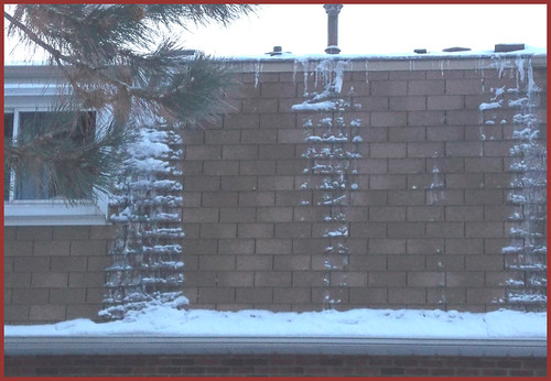 COLD COLD COLD | by Nelli2005