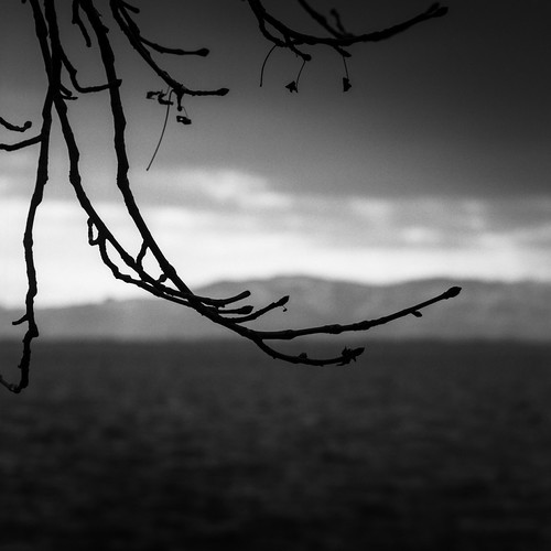 Film#16-Frame12 | by JayCob L.