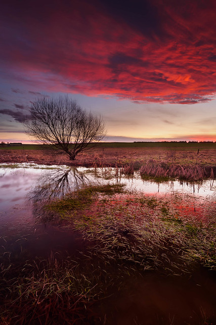 Red sky over the small pond - Roter Himmel über dem kleinen Teich