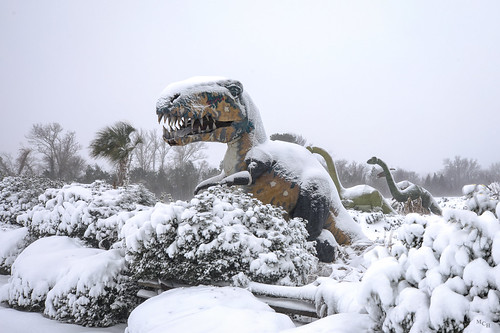 photosbymch landscape dinosaurs snow humor funny militaryaviationmuseum pungo virginiabeach virginia usa 2018 canon 5dmkiv outdoors hdr