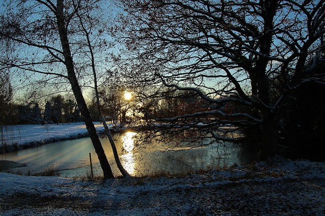 Frozen pond in the evening light.