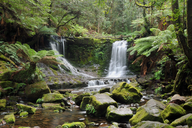 Horseshoe Falls | Mt. Field National Park, Tasmania